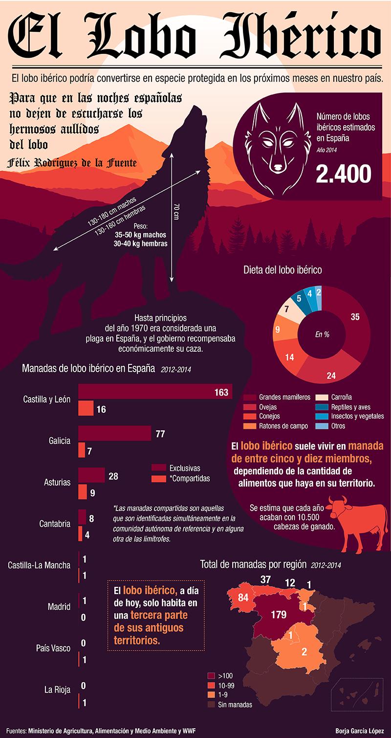 Infografia lobo ElPlural Pachi 01 (1)
