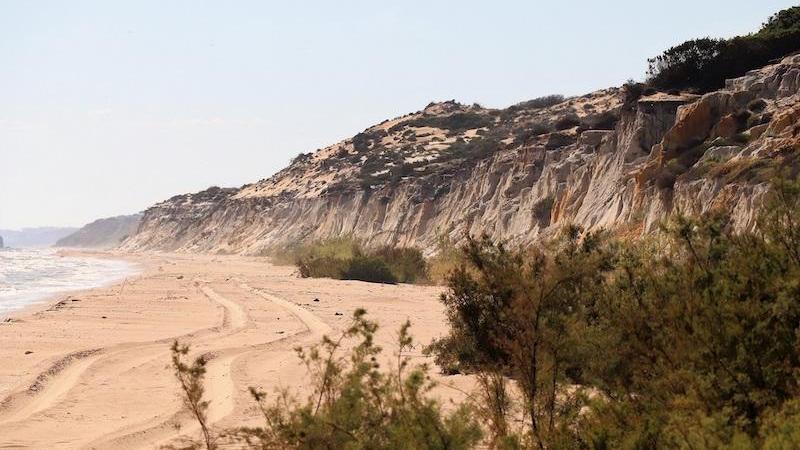 Doñana. Europa Press