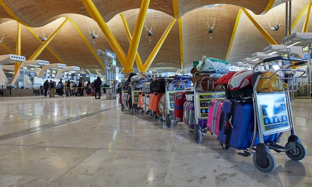 Maletas distribuidas en las instalaciones de la Terminal 4 