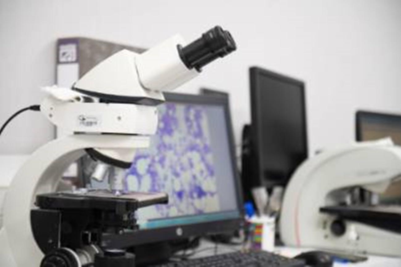 Hematología