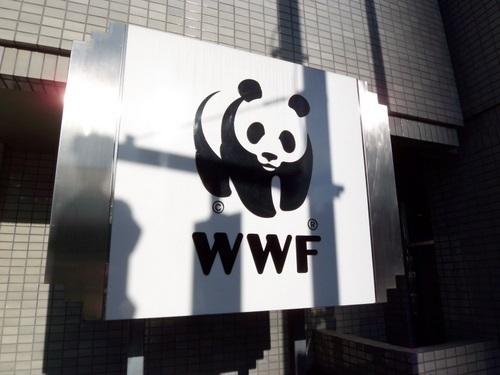 WWF