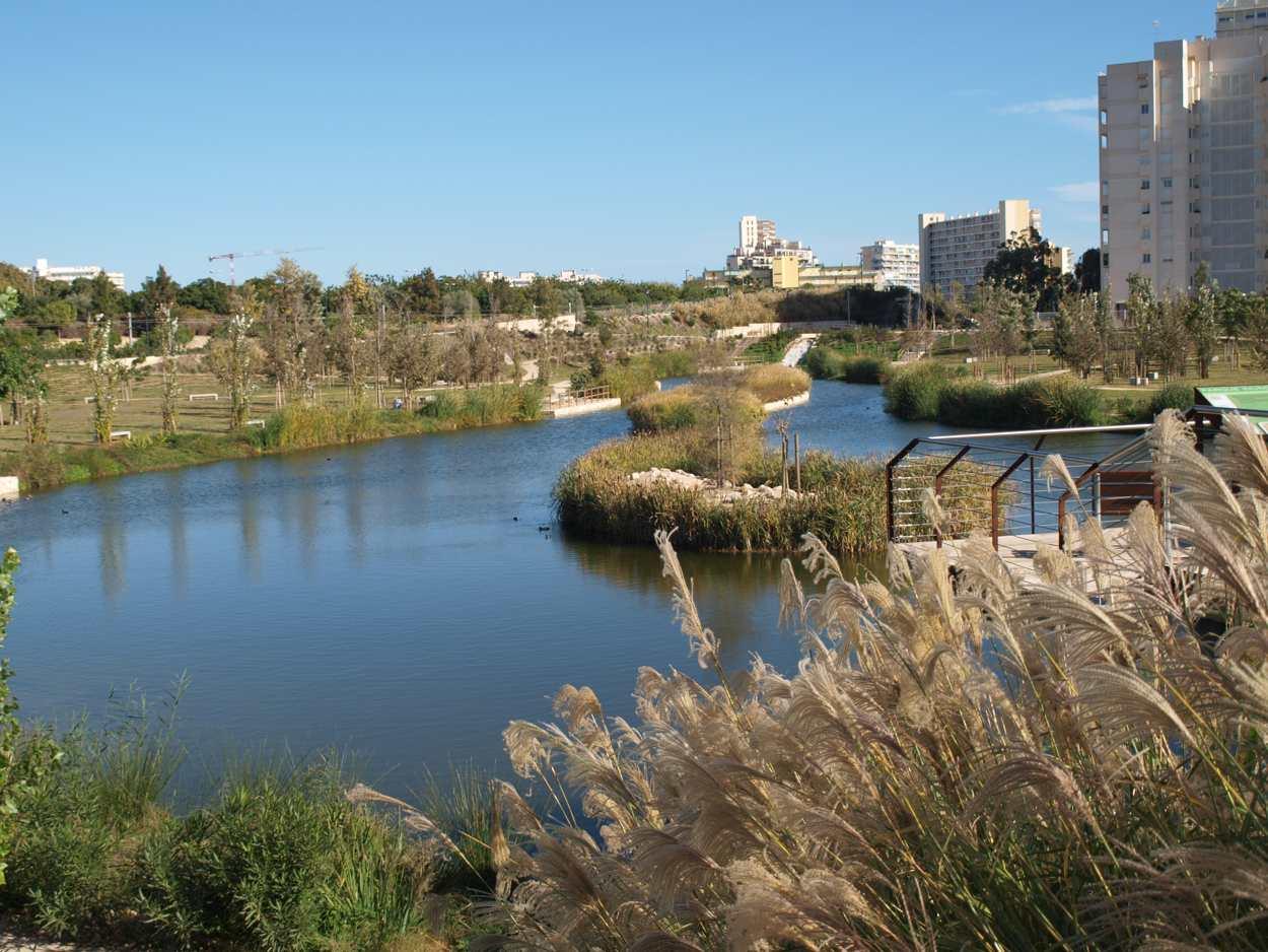 El parque de La Marjal,  en Alicante, es un ejemplo de sostenibilidad hídrica y ambiental 