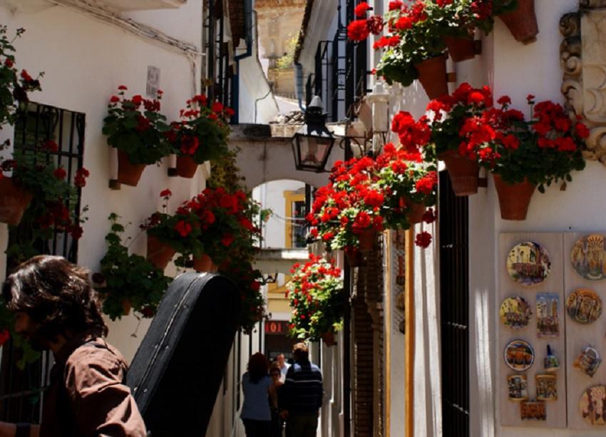 Calle de las Flores de Córdoba. Portal del Turismo