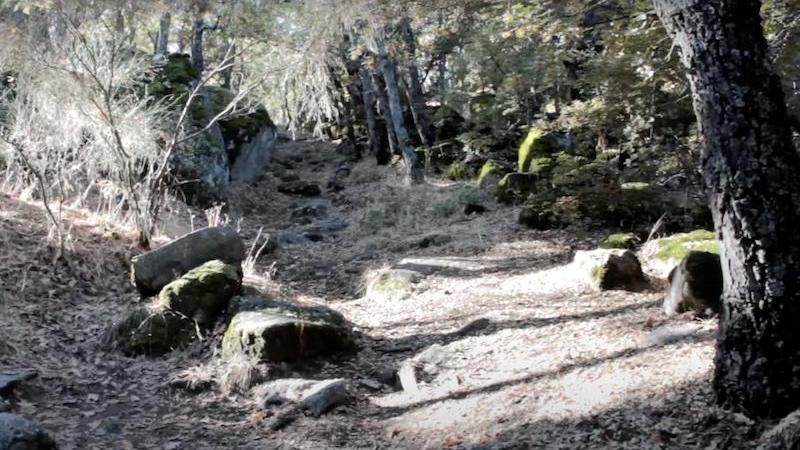 El Bosque de la Herrería