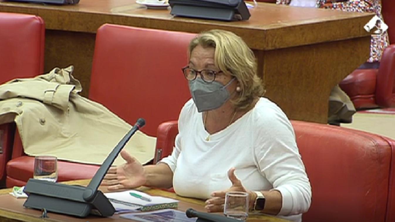 Meri Pita, diputada de Unidas Podemos, durante su intervención en la Comisión del Pacto de Toledo