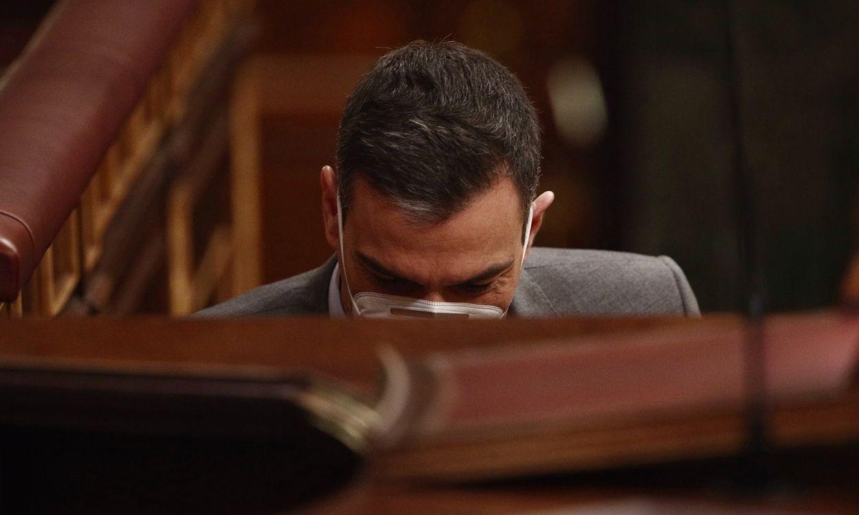 Pedro Sánchez comparece en el Congreso de los Diputados