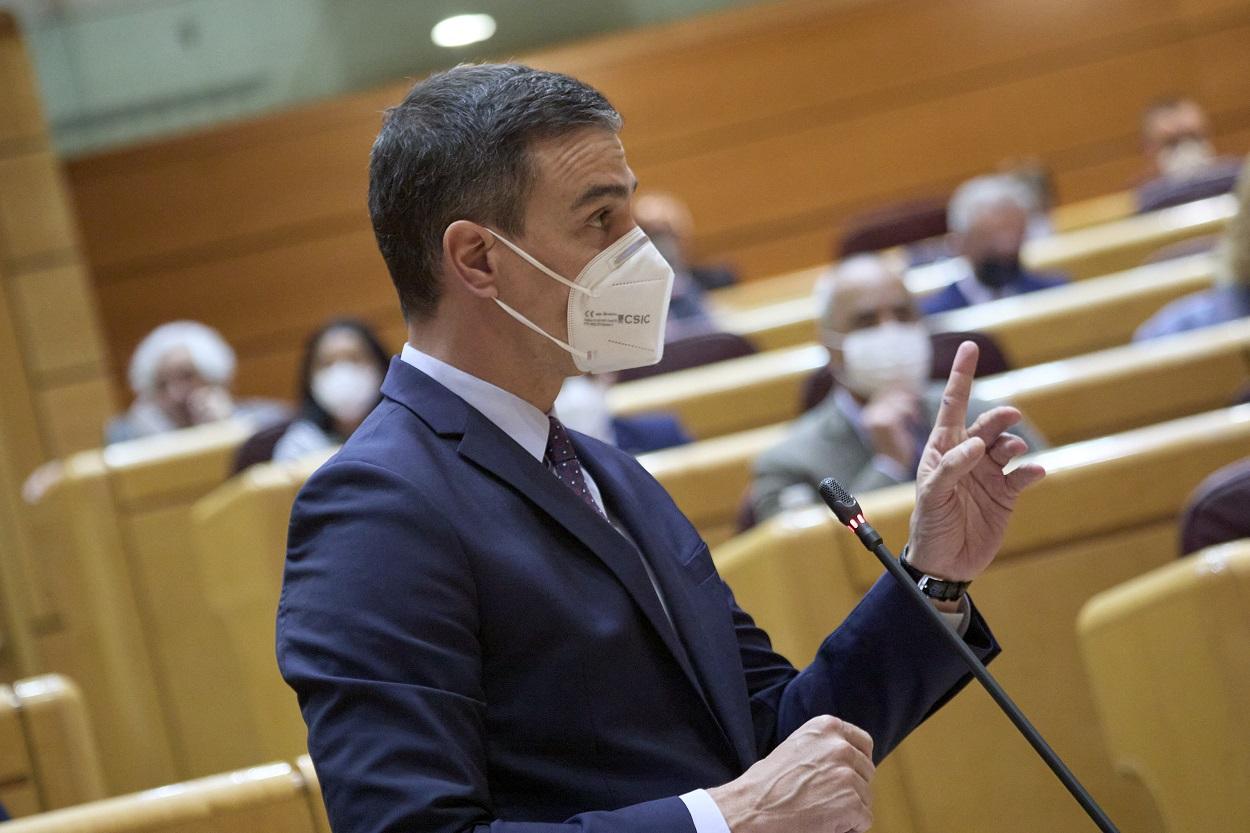 El presidente del Gobierno, Pedro Sánchez, comparece en una sesión de control al Gobierno en el Senado. Europa Press