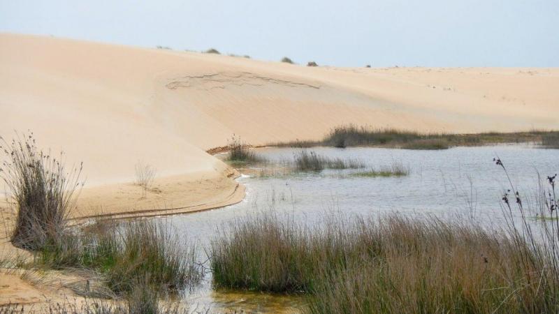 Dunas de Corrubedo (Riveira, Galicia) 