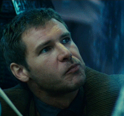 Harrison Ford emboba a cualquier madre Harrison Ford emboba a cualquier madre