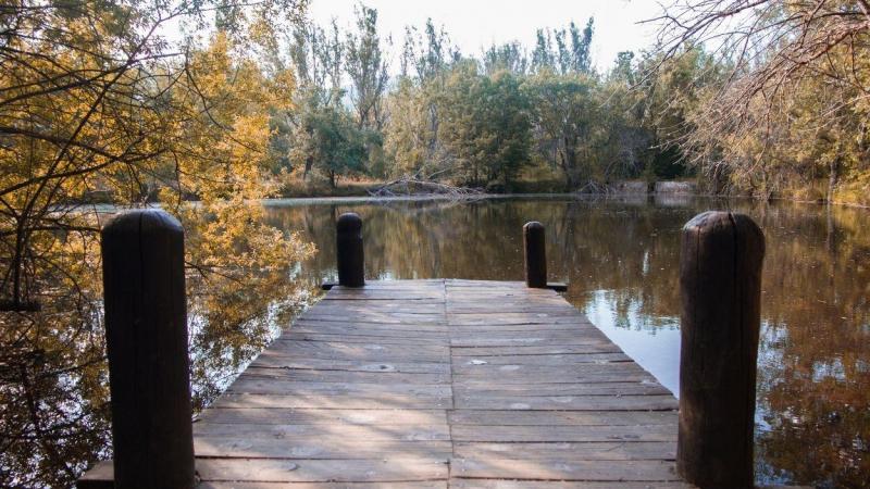 Bosque Finlandés, Madrid.