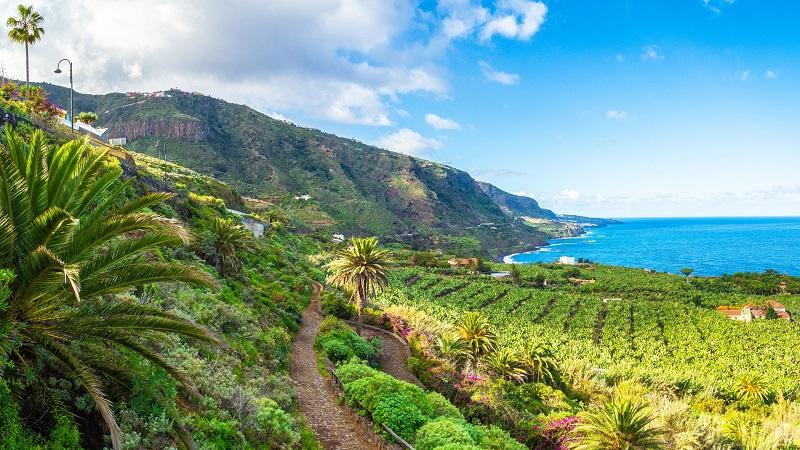 Tenerife, uno de los destinos preferidos por los viajeros. Fuente TVE