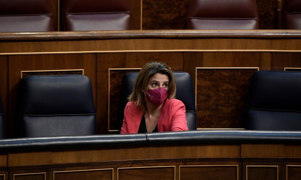 La ministra de Transición Ecológica, Teresa Ribera, en el Congreso de los Diputados. EP