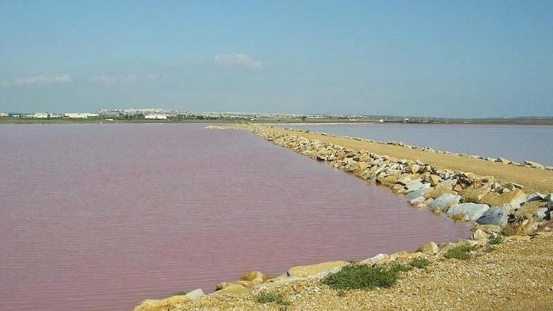 Lagunas de la Mata y Torrevieja. Europa Press Lagunas de la Mata y Torrevieja. Europa Press