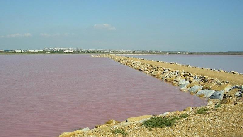 Lagunas de la Mata y Torrevieja. Europa Press