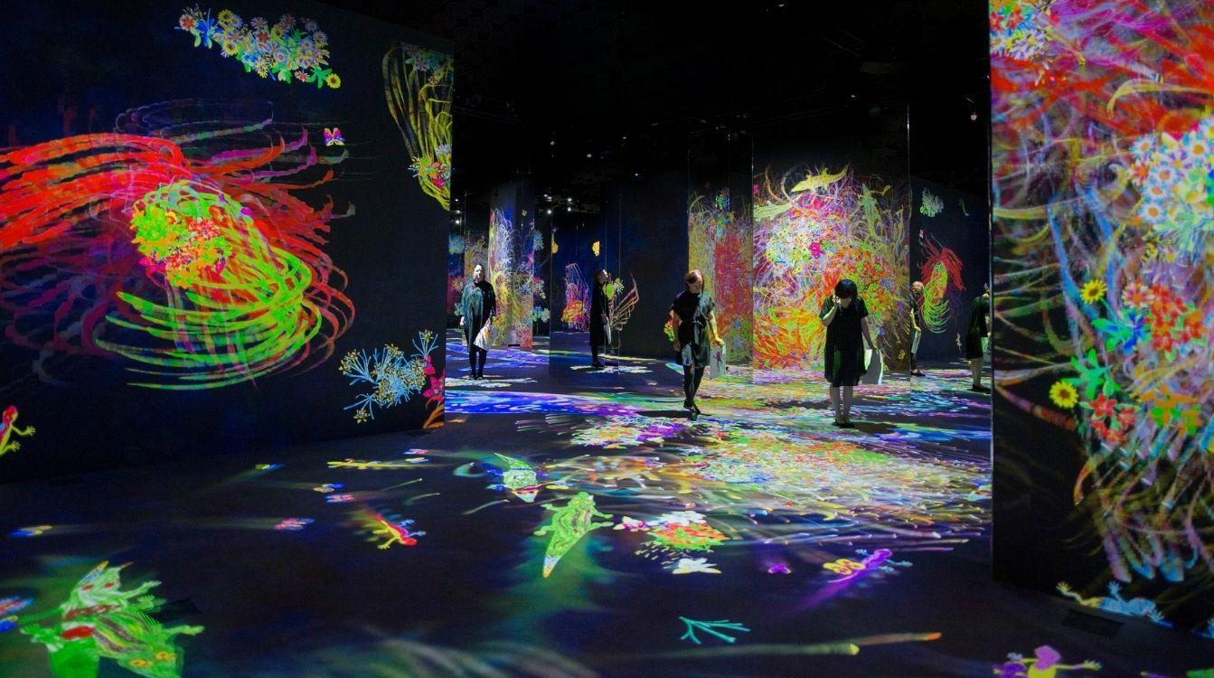 Graffiti Nature Lost, Immersed and Reborn, teamLab , 2021, CaixaForum Barcelona © teamLab, courtesy Pace Gallery