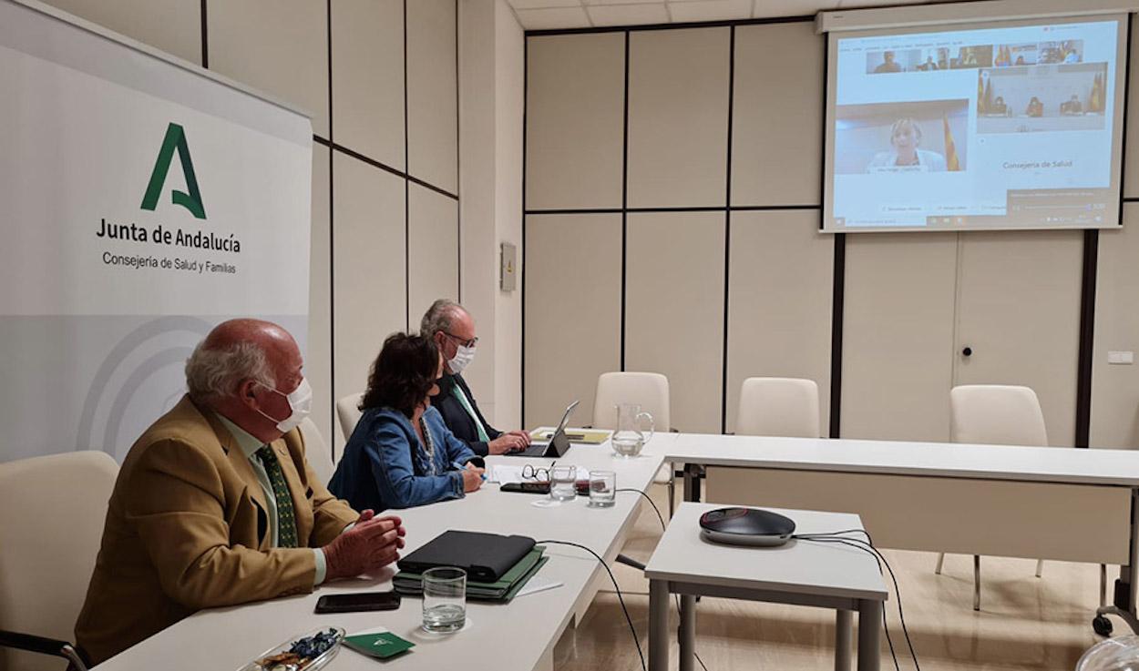 Un momento de la celebración virtual del Consejo Interterritorial del Sistema Nacional de Salud.