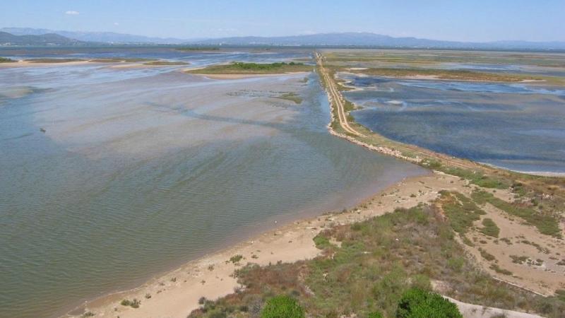 Delta del Ebro. Europa Press