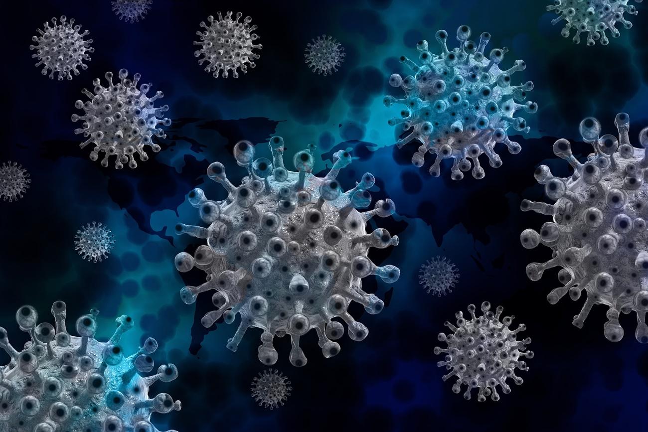 Coronavirus (Fuente: Pixabay)