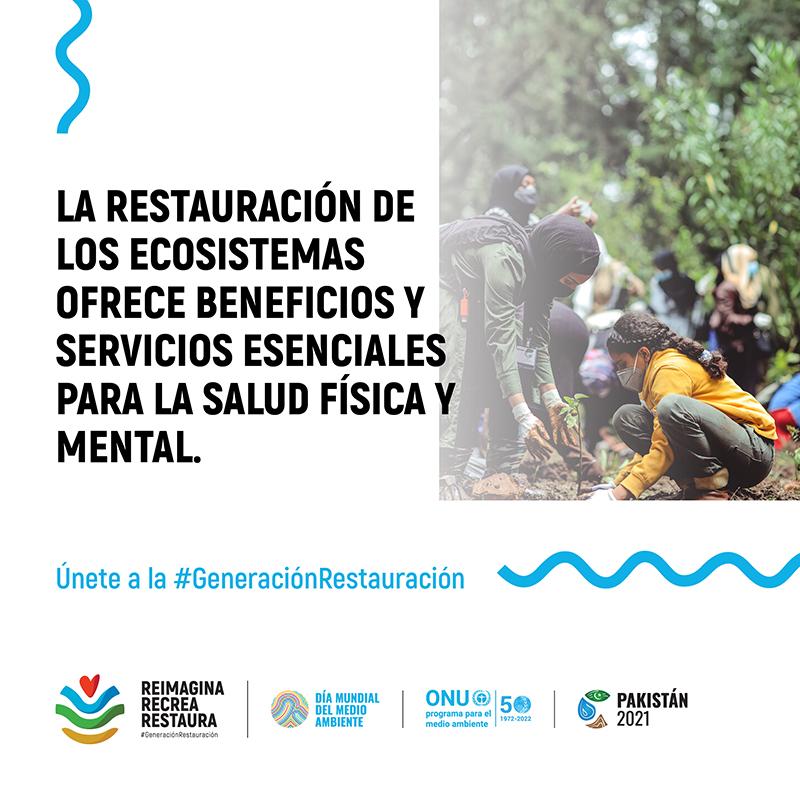 Únete a la #GeneraciónRestauración Únete a la #GeneraciónRestauración