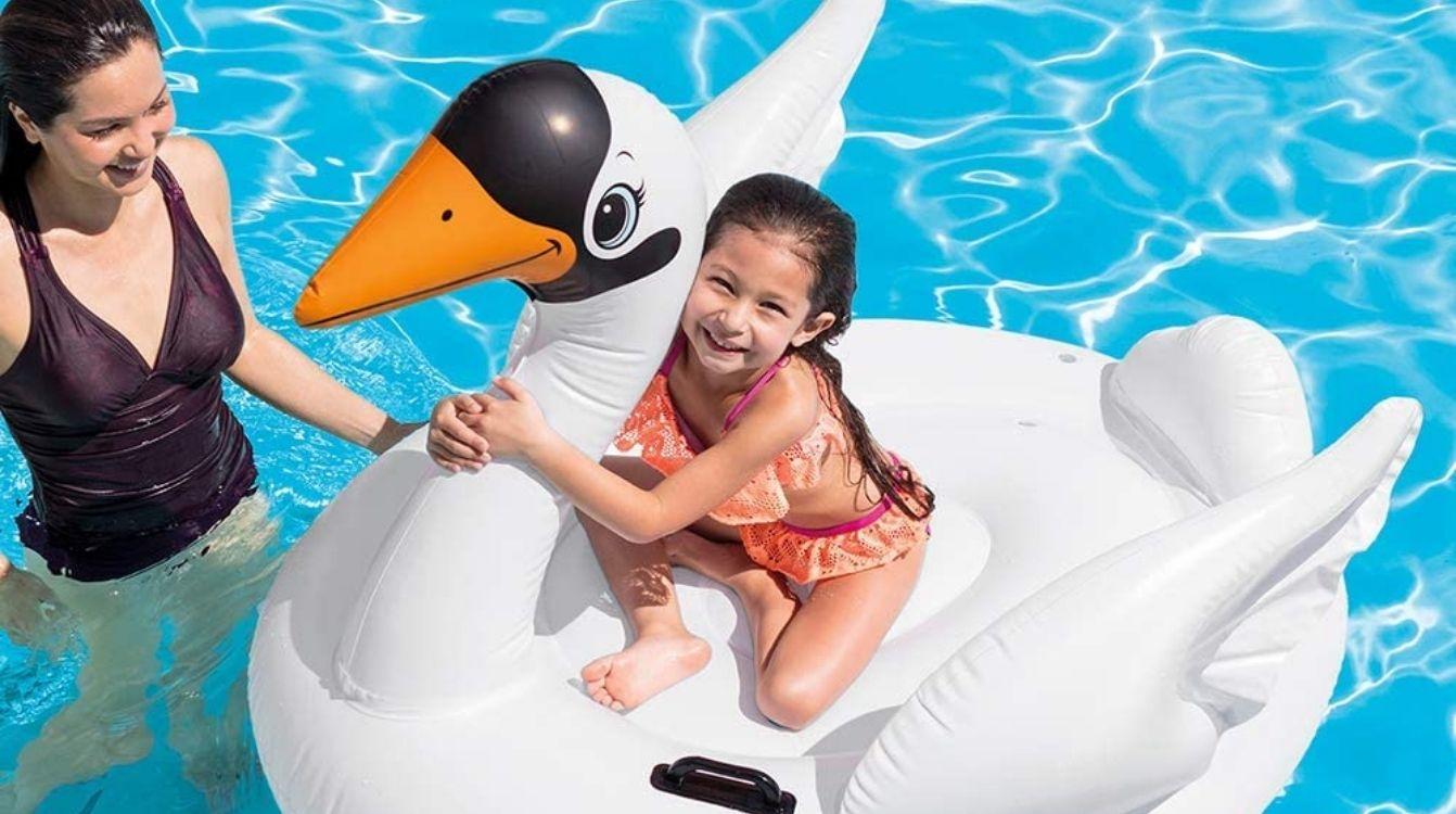 Cisne hinchable Cisne hinchable