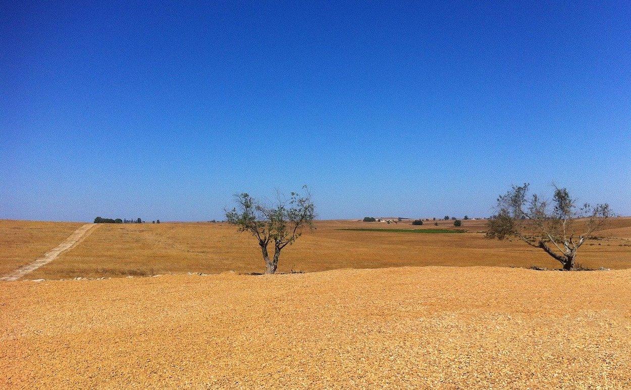 La desertificación, una cruda realidad a la que hacer frente