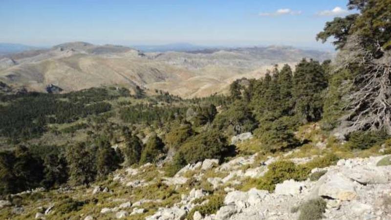  Sierra de las Nieves. Europa Press