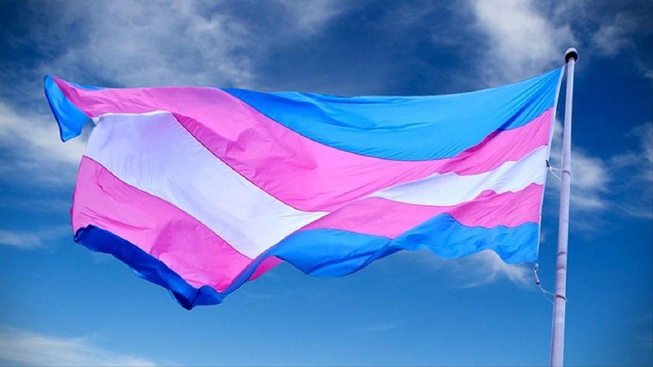 Imagen de recurso de una bandera Trans.
