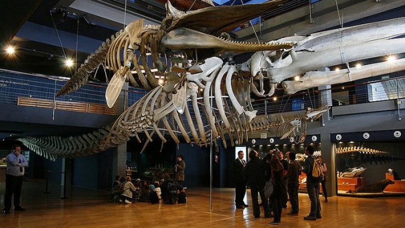 Museo Marítimo del Cantábrico