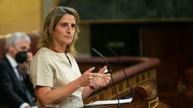 La ministra para la Transición Ecológica y Reto Demográfico, Teresa Ribera. Europa Press