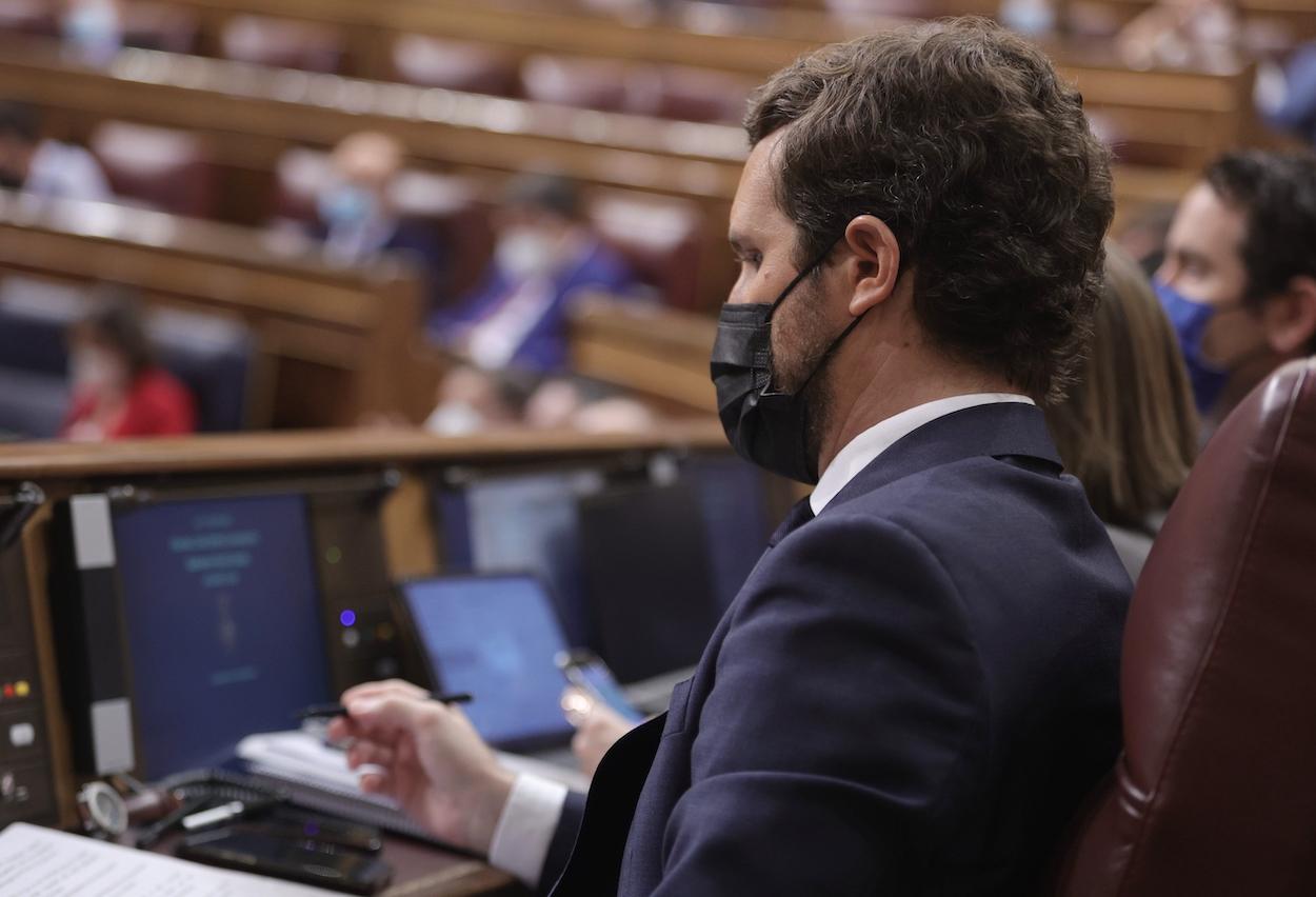 El líder del PP, Pablo Casado, en una sesión de control al Gobierno en el Congreso de los Diputados