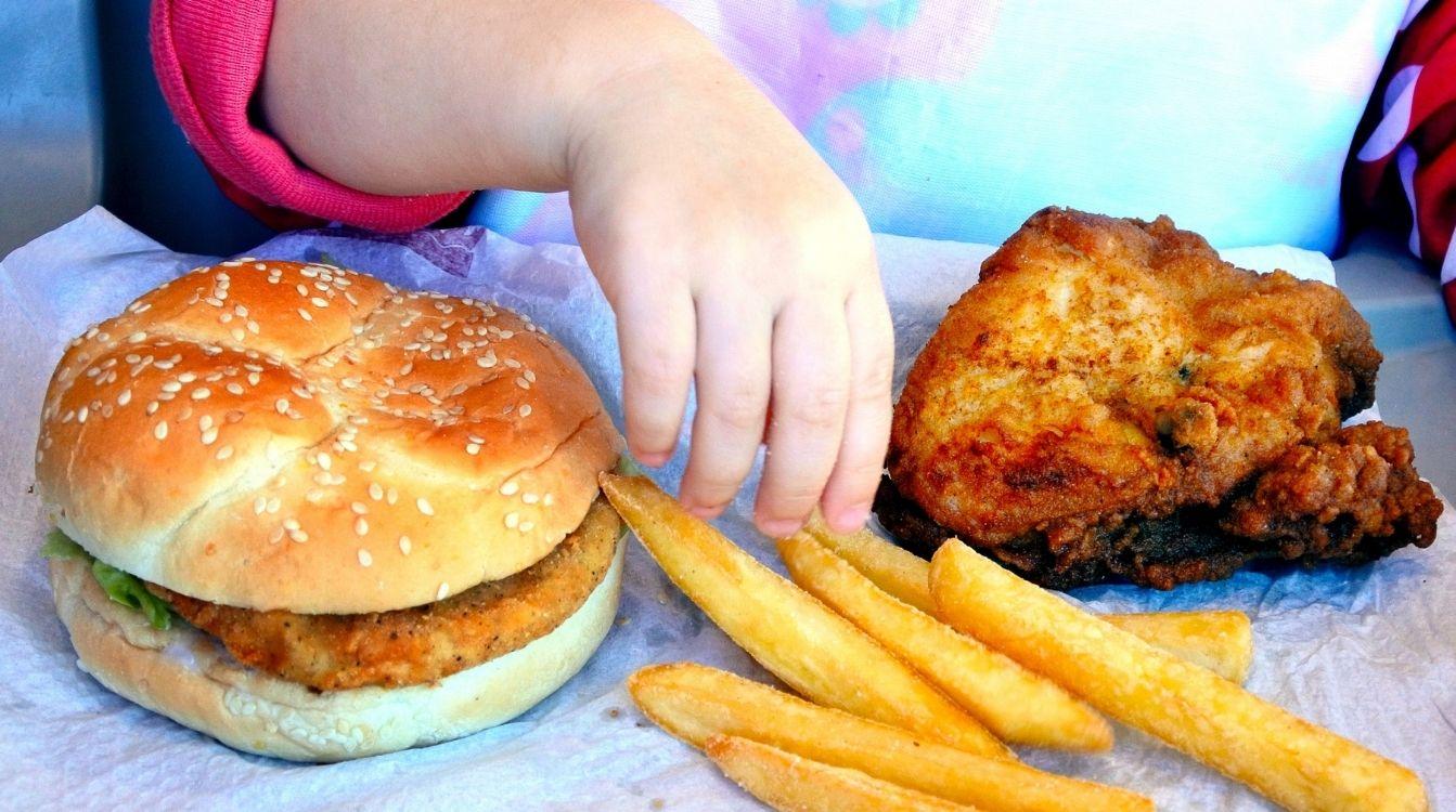 Los alimentos ecológicos favorecen el desarrollo cognitivo de los niños frente a la comida rápida o procesada, que lo perjudica © Shutterstock  ChameleonsEye.