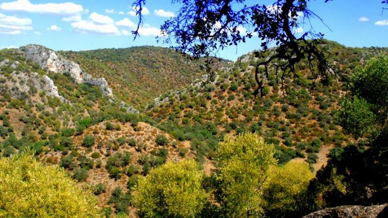 Ruta Sierra Morena (Córdoba) 