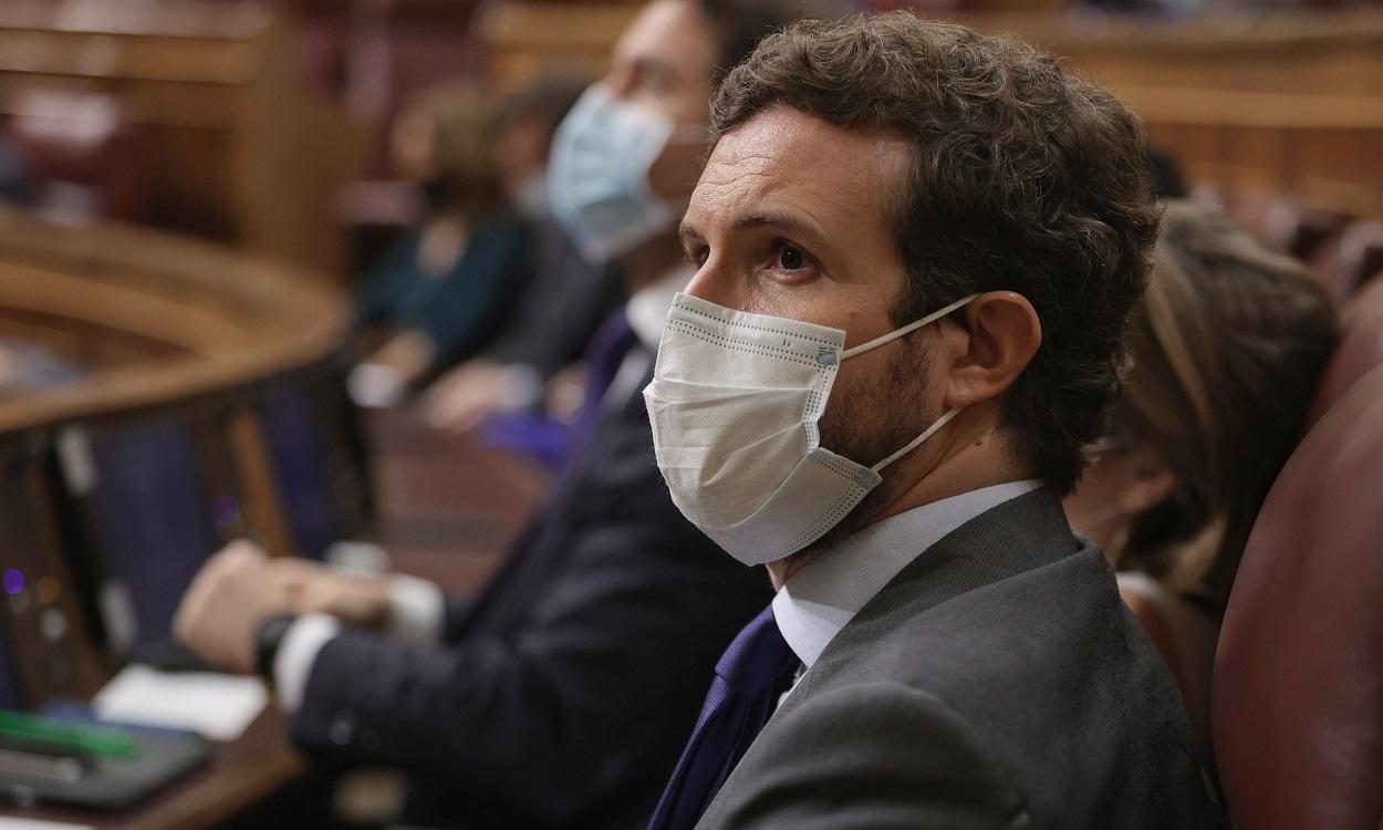 El líder del PP, Pablo Casado, en una sesión de control al Gobierno en el Congreso de los Diputados. EP