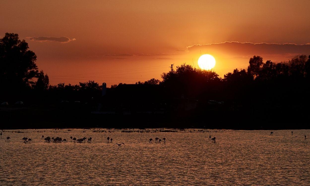 Parque Nacional de Doñana