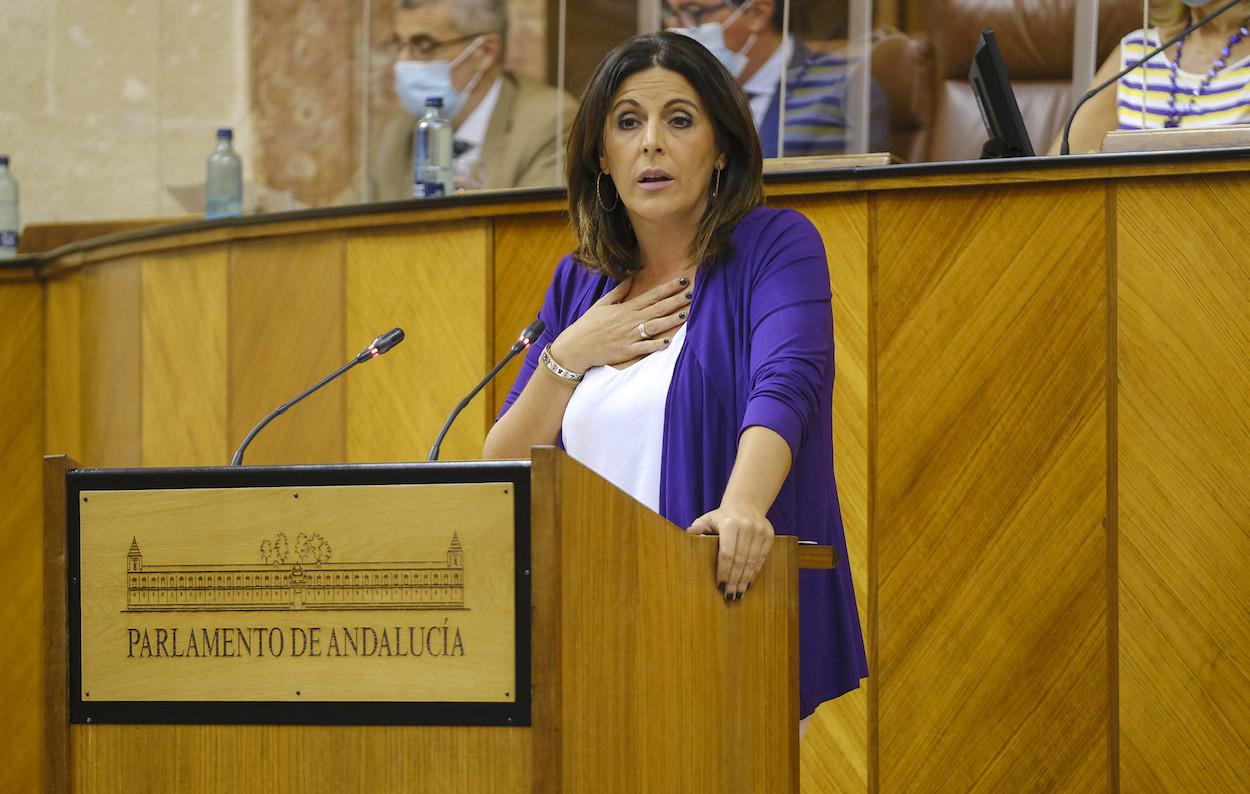 La portavoz socialista Ángeles Férriz, en la tribuna del Parlamento.