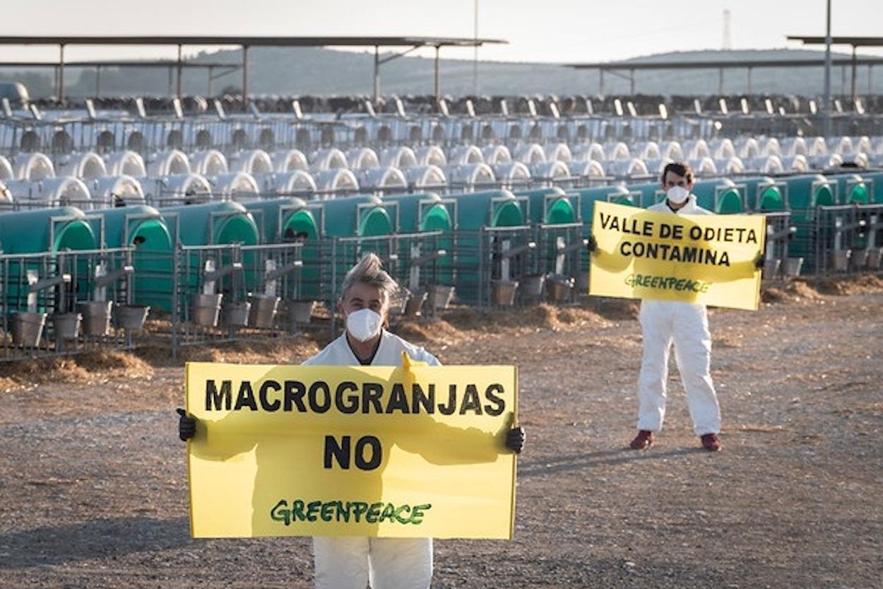 Organizaciones ecologistas protestan contra la ganadería industrial. Europa Press