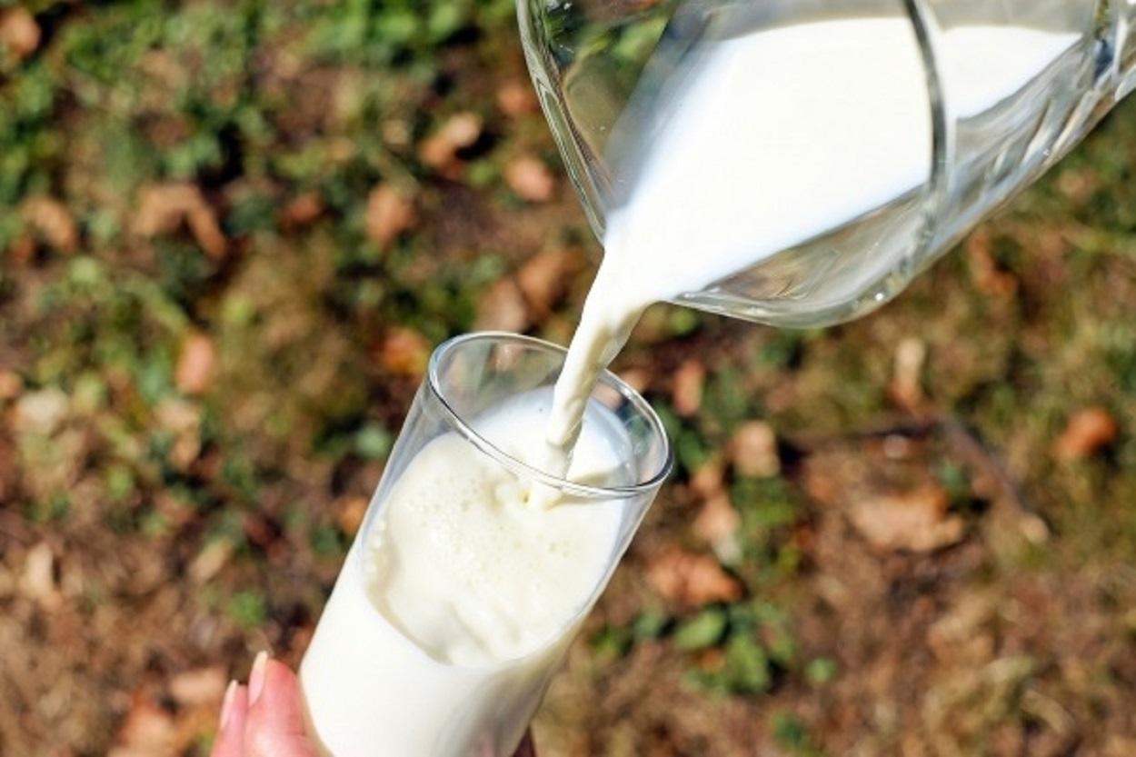 ¿Es seguro el consumo de leche cruda y productos lácteos derivados? EP.