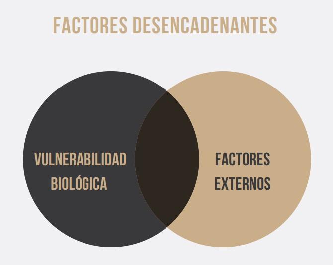 Factores desencadenantes TLP