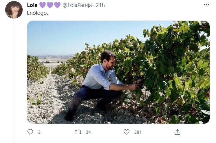 Los disfraces de Casado 3 Twitter