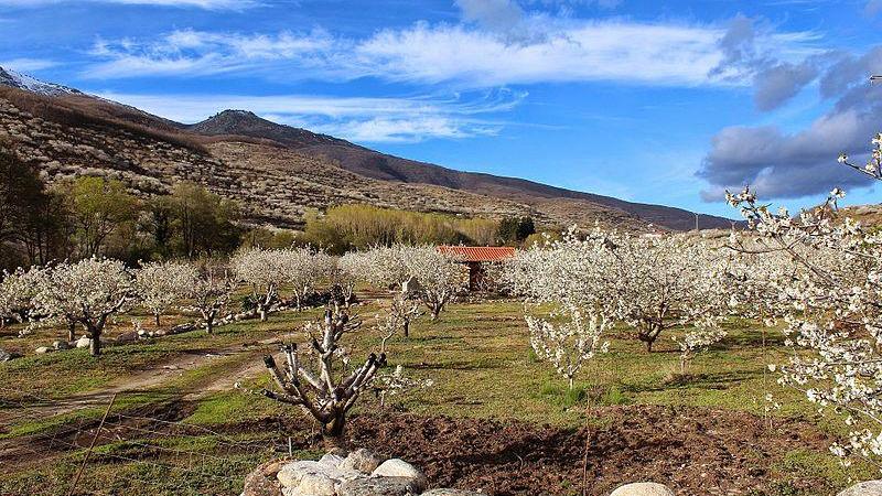 Valle del Jerte