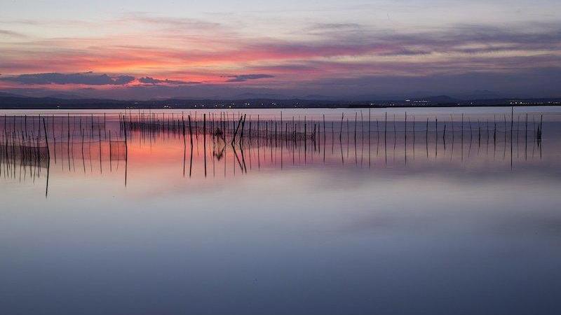 Parque Natural de Albufera