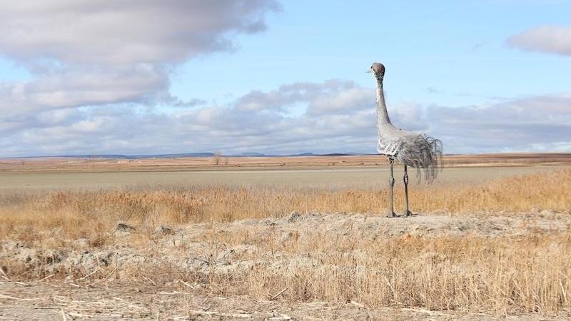 Gallocanta. Europa Press