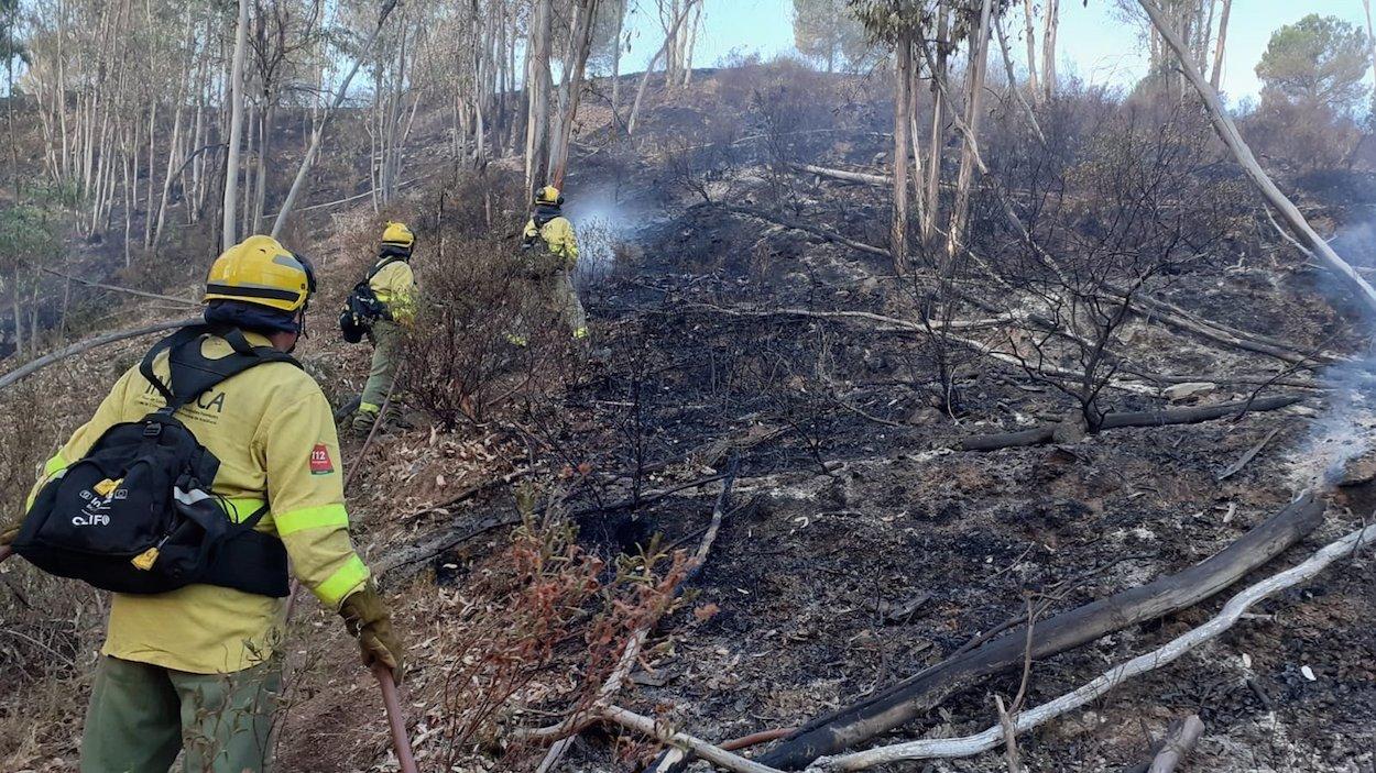 Efectivos del INFOCA sofocando el incendio de Villarrasa. INFOCA