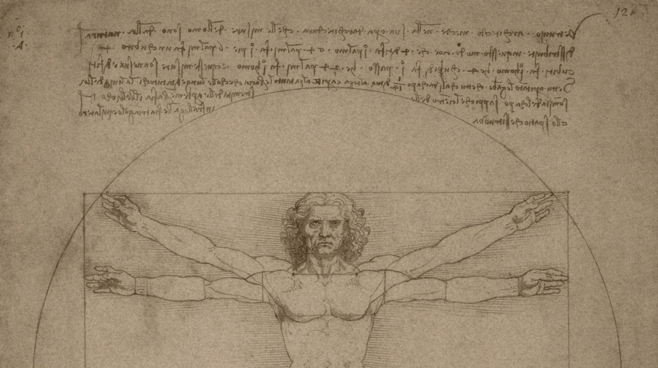 El hombre de Vitruvio de Leonardo da Vinci, hacia 1490.  Album John Parrot  Stocktrek Images