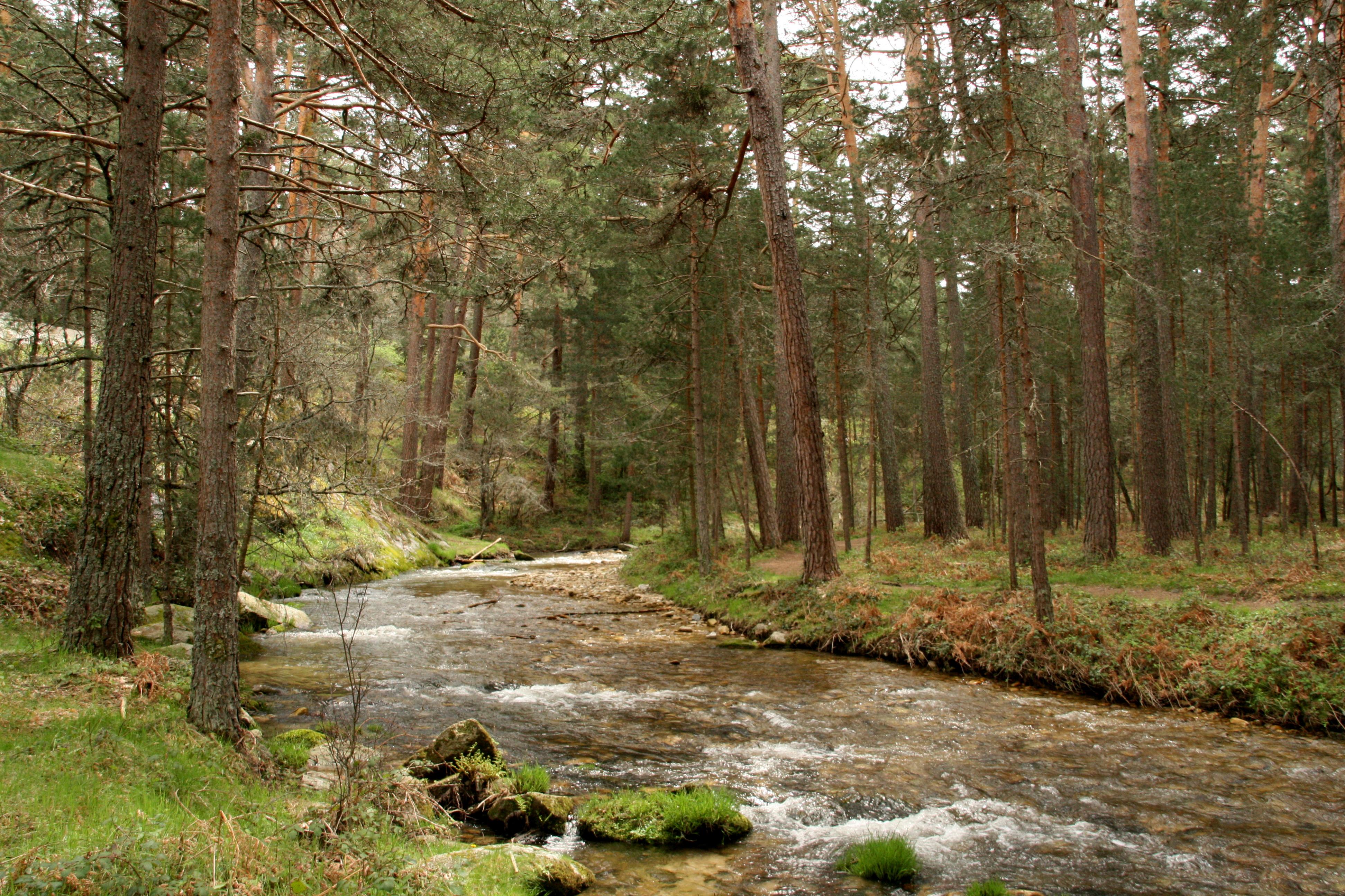 Parque Nacional Sierra de Guadarrama