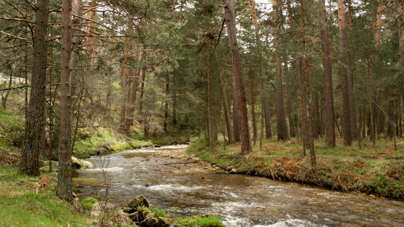 Parque Nacional Sierra de Guadarrama