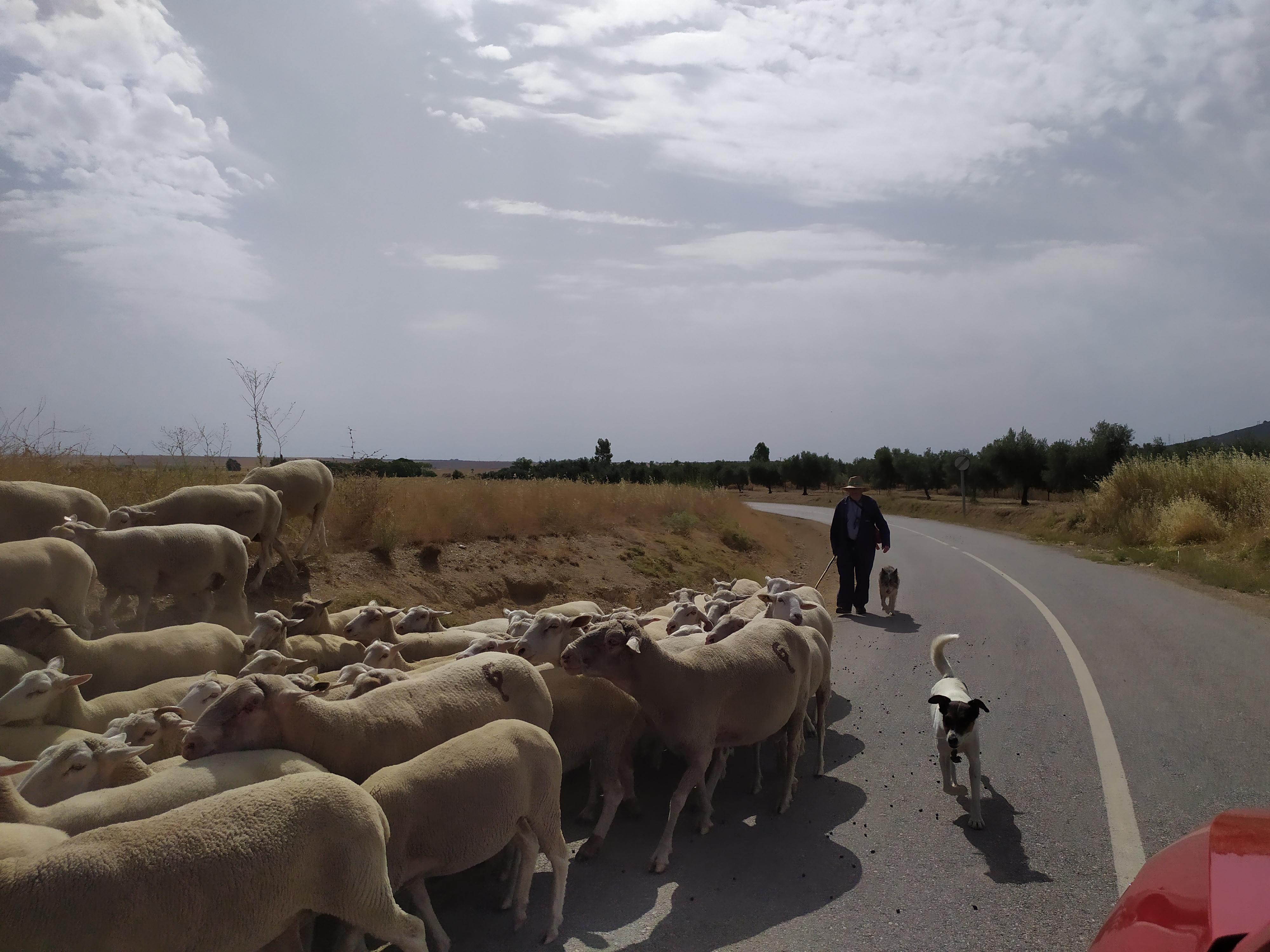 Carretera de Badajoz ©Leequid Magazine