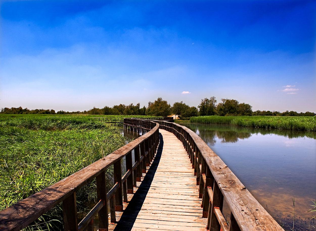 El humedal conocido como Las Tablas de Daimiel fue declarado Parque Nacional en el año 1973, Reserva de la Biosfera en el 1981 e incluido dentro del Convenio Ramsar en el año 1982. © Turismo de Castilla-La Mancha / David Blázquez