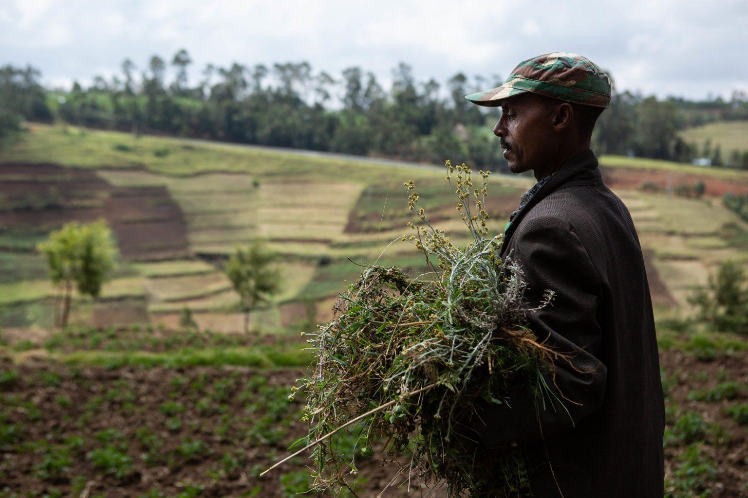 Los conflictos violentos están detrás del aumento del hambre en el África subsahariana   Jacquelyn Turner, Instituto Internacional de Investigación para el Clima y la Sociedad