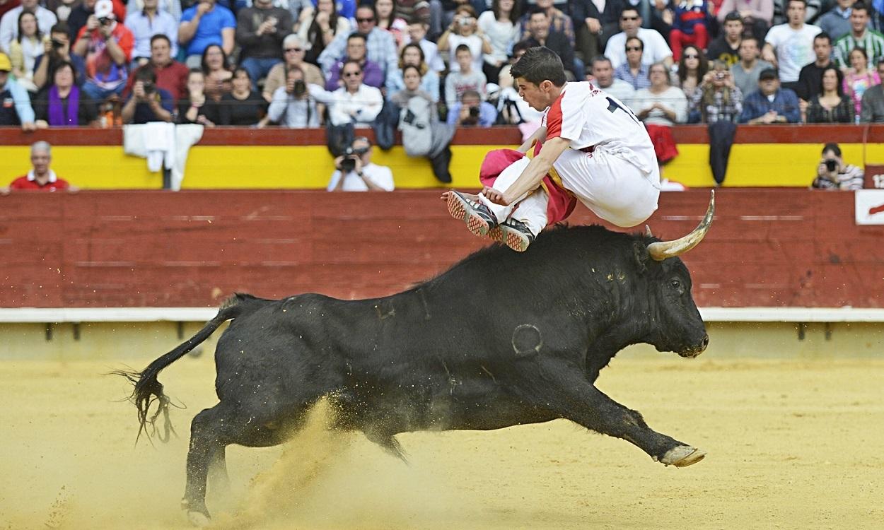 Foto de archivo de un recortador en una plaza de toros española. Europa Press